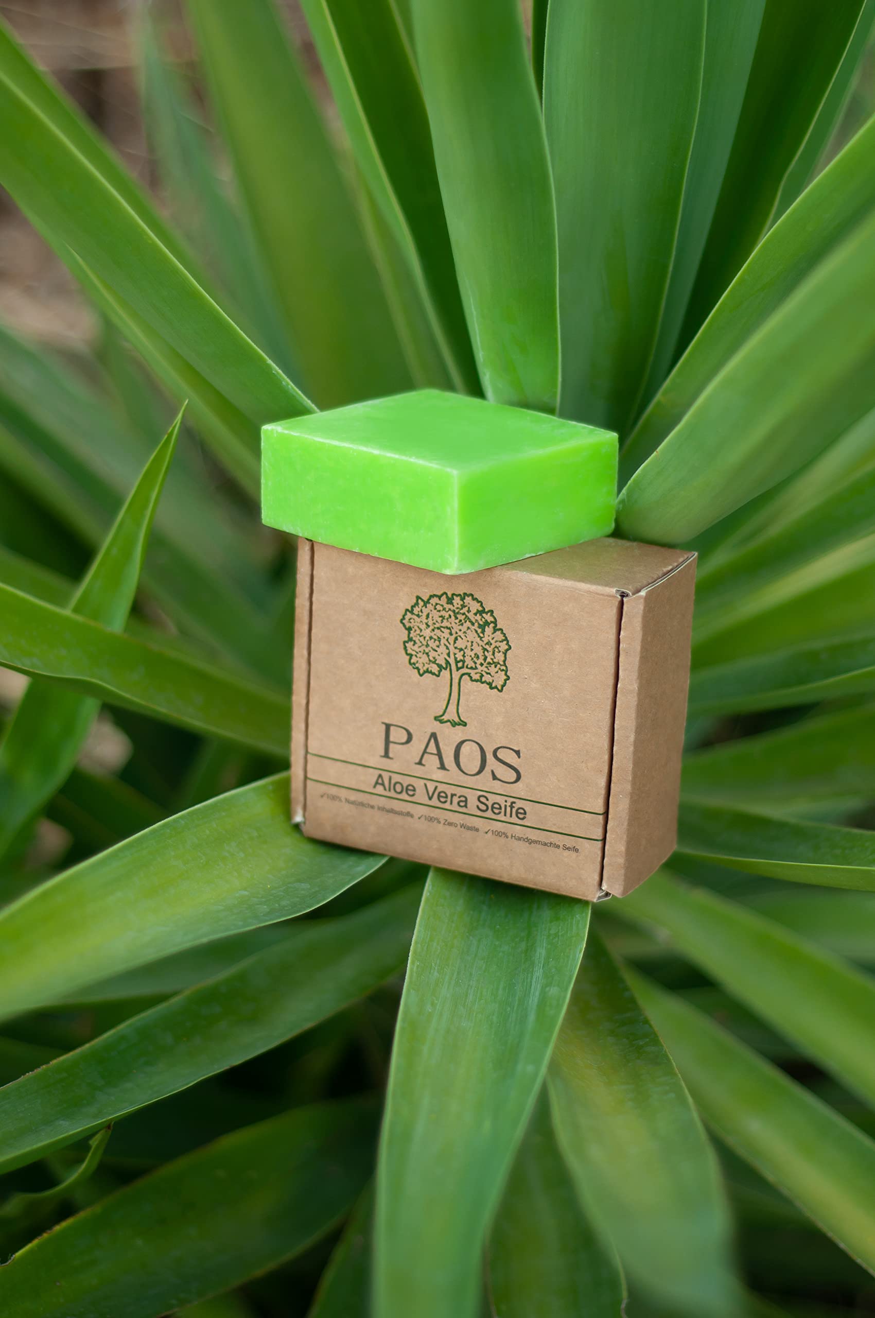 paos-seifen-aloe-vera-seife-150g-vegan-alle-hauttypen image 5
